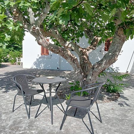 B&B Villa Rosanna Fasano Bagian luar foto