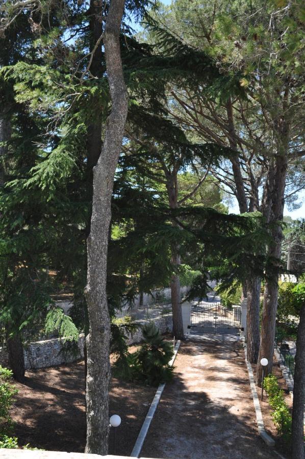 B&B Villa Rosanna Fasano Bagian luar foto