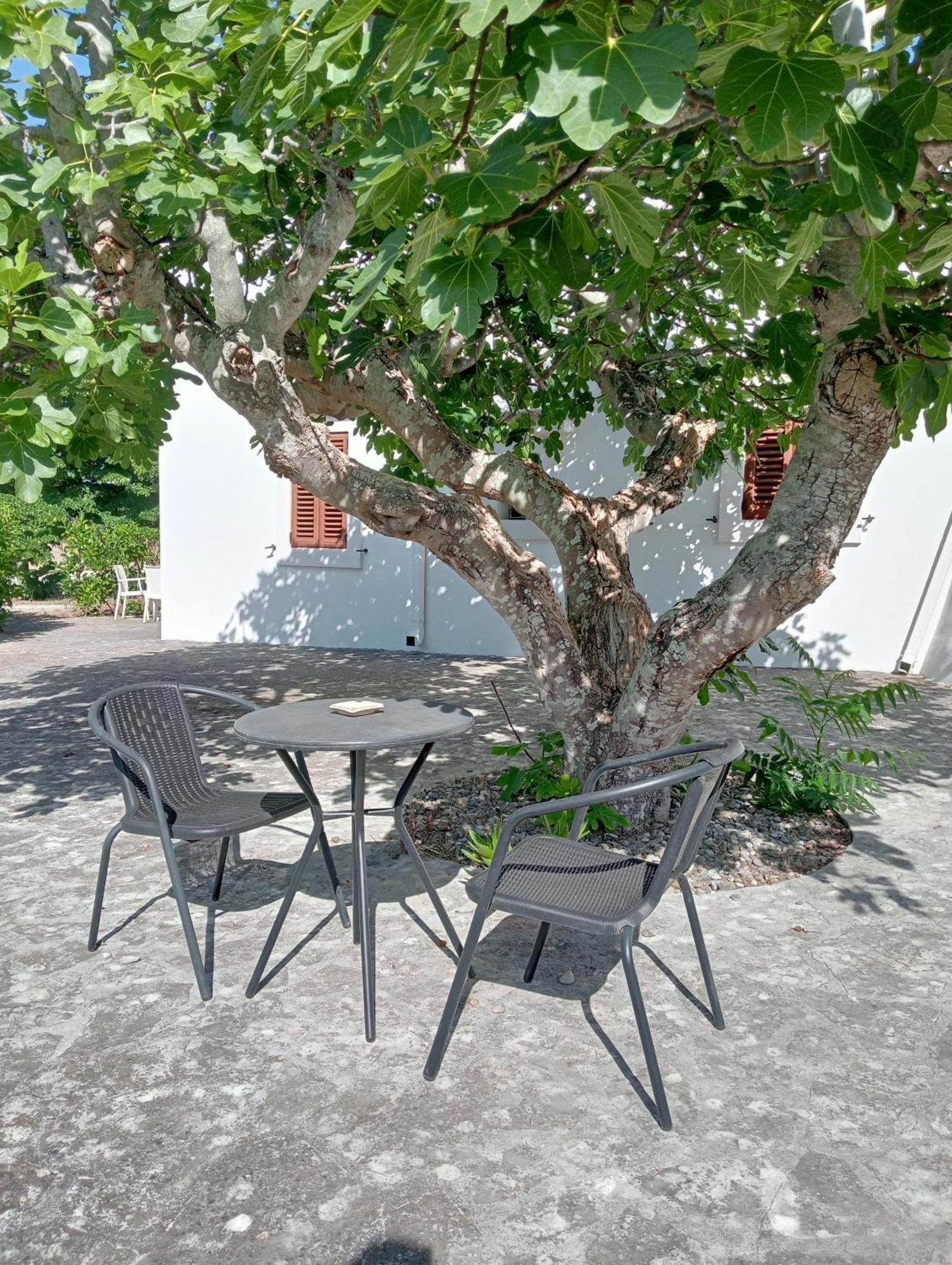 B&B Villa Rosanna Fasano Bagian luar foto