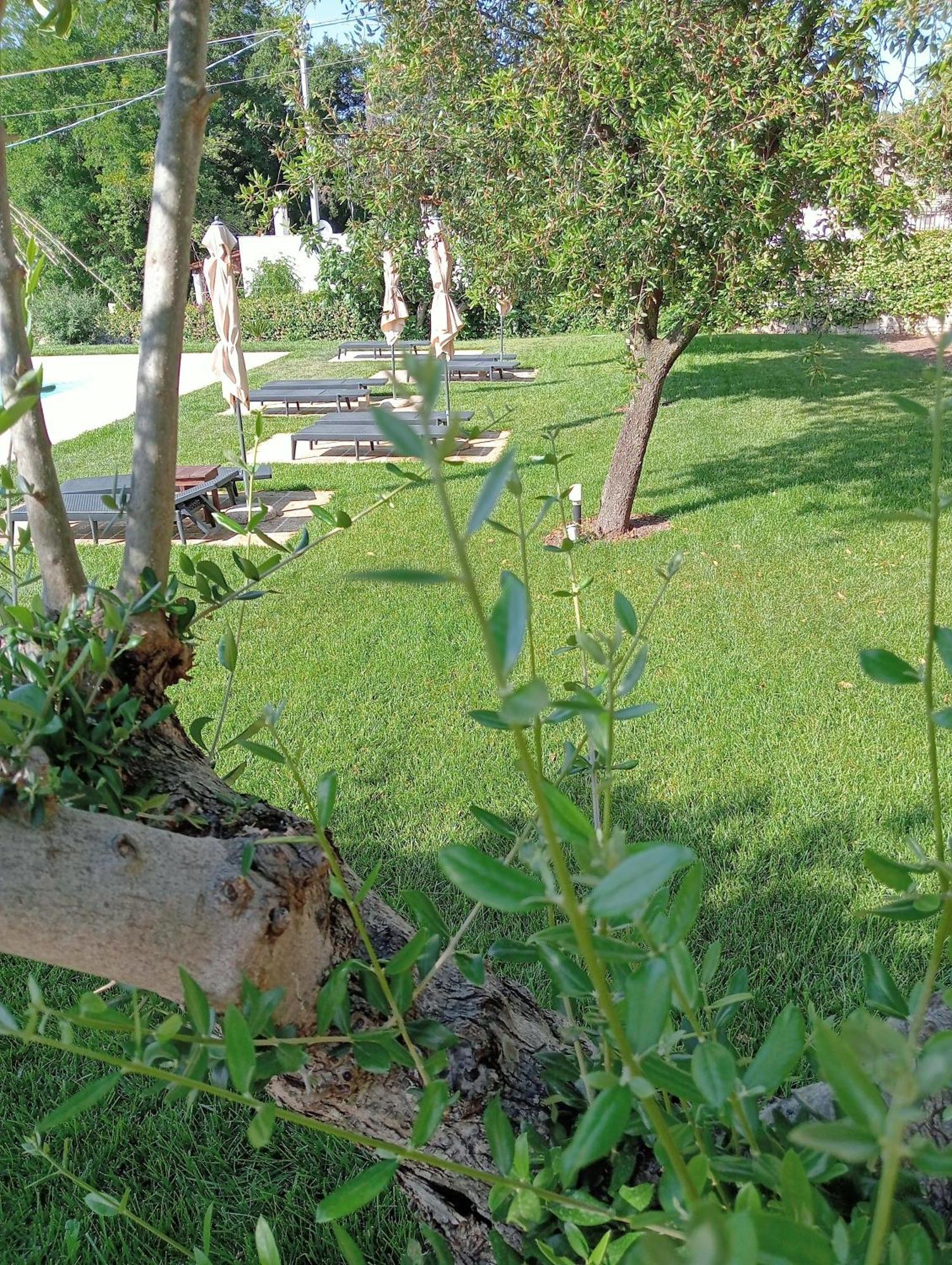 B&B Villa Rosanna Fasano Bagian luar foto